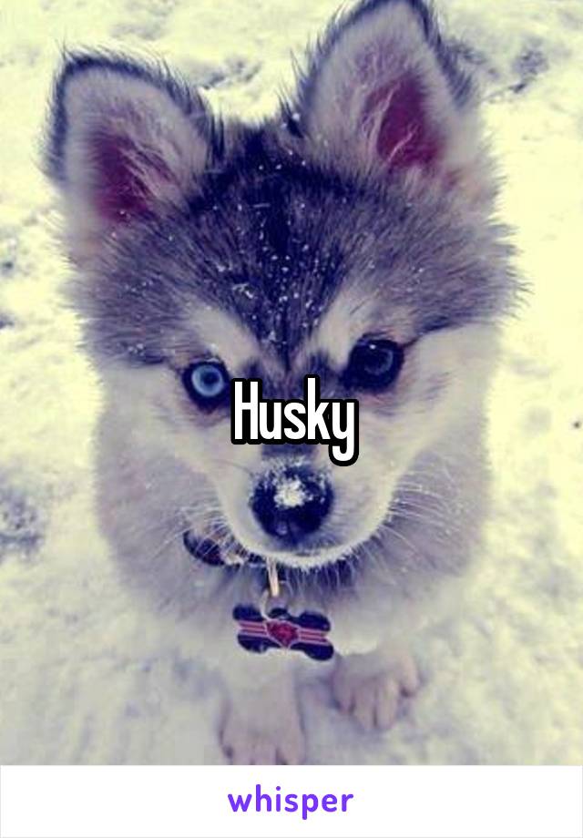 Husky