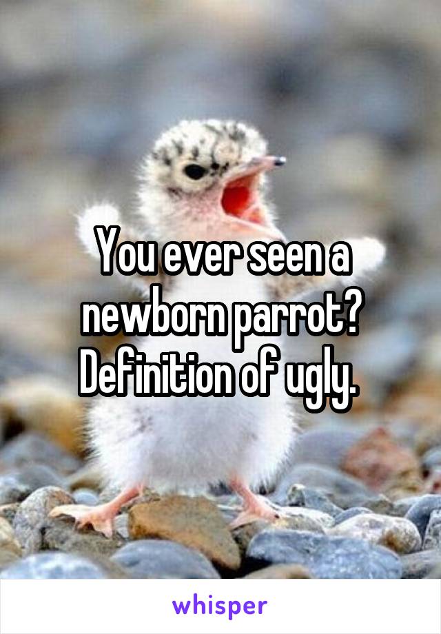 You ever seen a newborn parrot? Definition of ugly. 