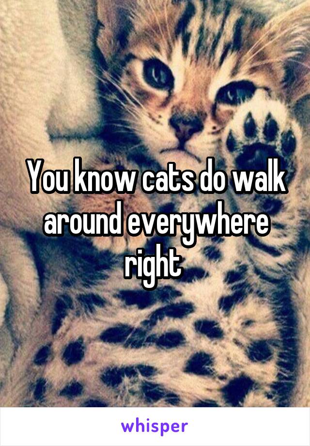 You know cats do walk around everywhere right 