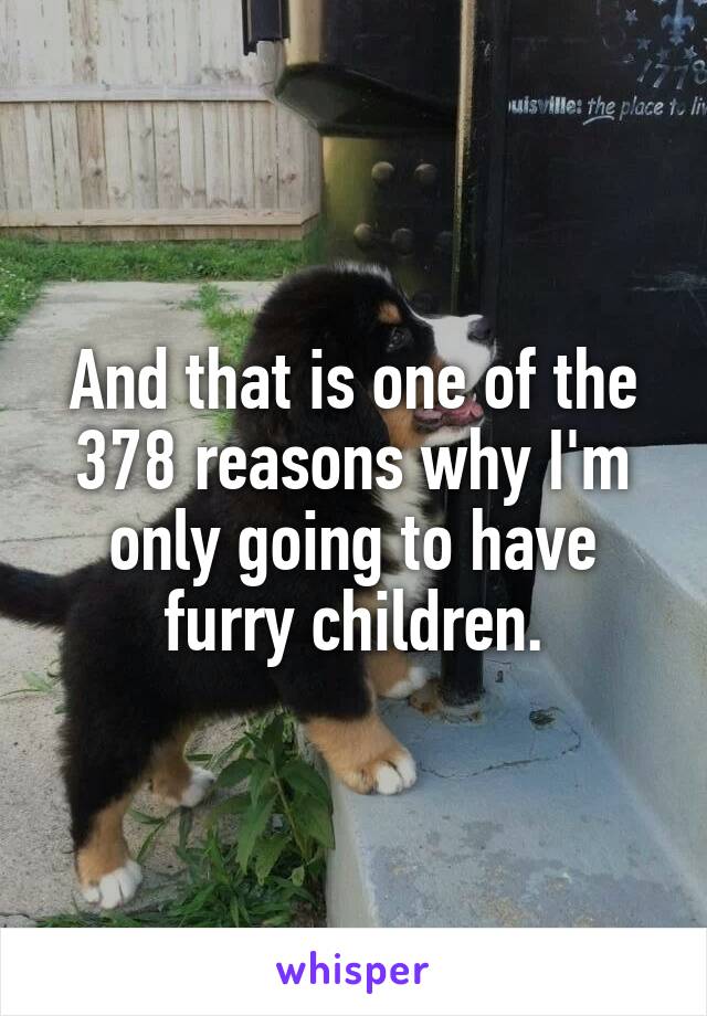 And that is one of the 378 reasons why I'm only going to have furry children.