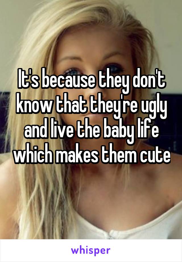 It's because they don't know that they're ugly and live the baby life which makes them cute 