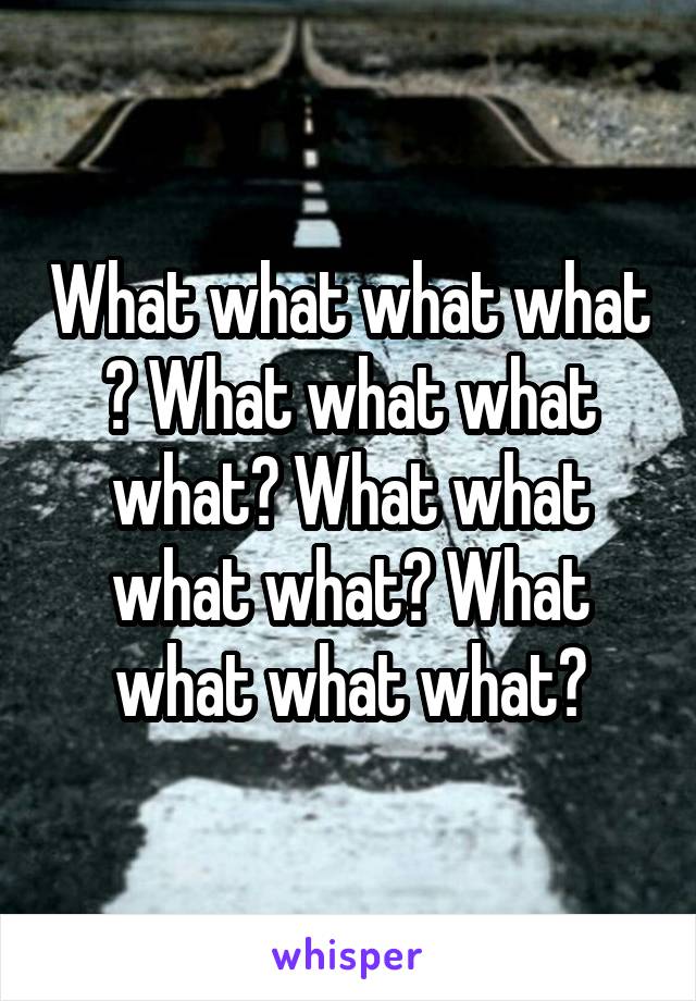 What what what what ? What what what what? What what what what? What what what what?