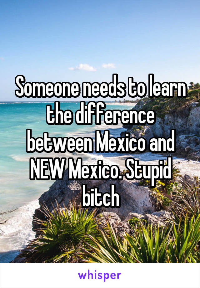 Someone needs to learn the difference between Mexico and NEW Mexico. Stupid bitch