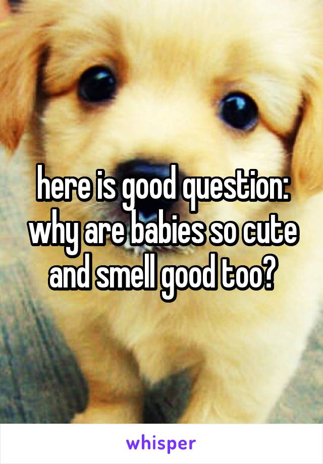 here is good question: why are babies so cute and smell good too?