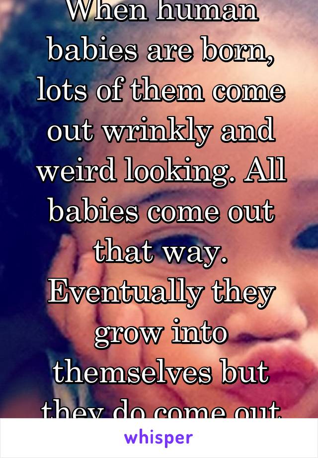 When human babies are born, lots of them come out wrinkly and weird looking. All babies come out that way. Eventually they grow into themselves but they do come out funky looking