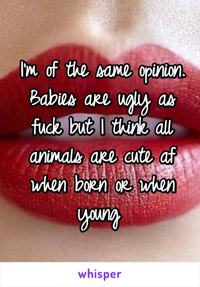 I'm of the same opinion. Babies are ugly as fuck but I think all animals are cute af when born or when young 