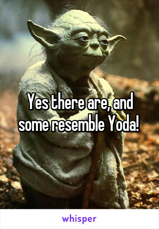 Yes there are, and some resemble Yoda! 