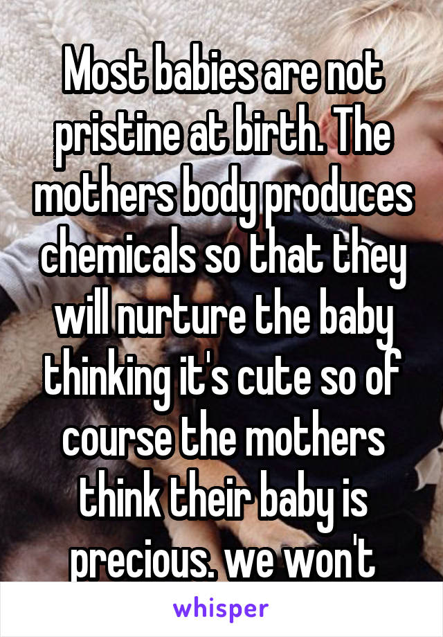 Most babies are not pristine at birth. The mothers body produces chemicals so that they will nurture the baby thinking it's cute so of course the mothers think their baby is precious. we won't