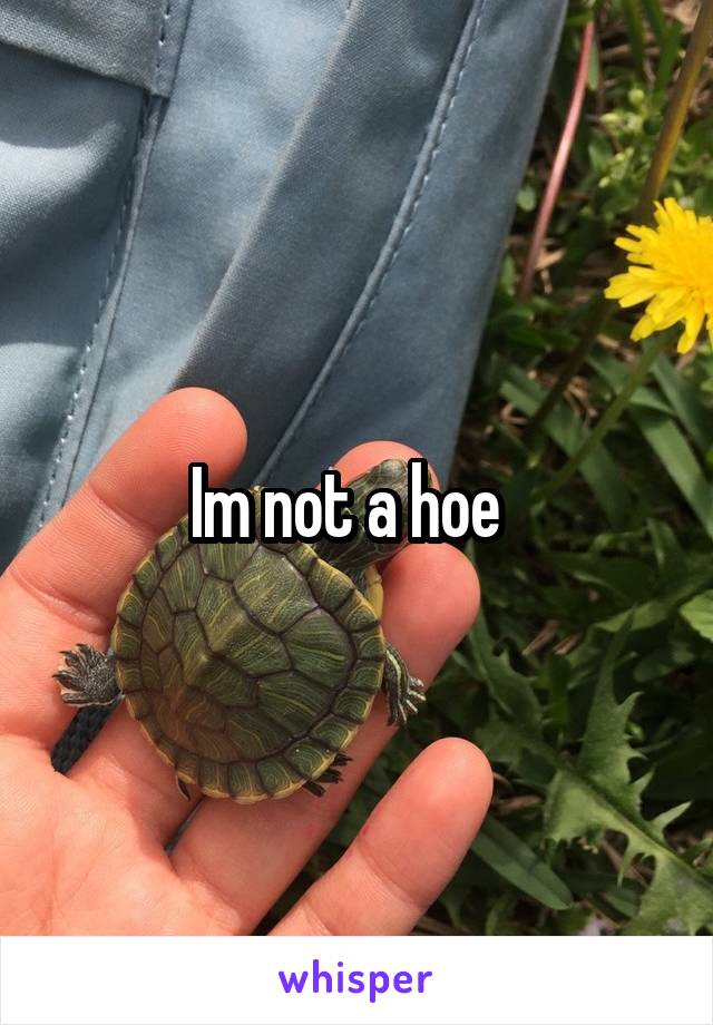 Im not a hoe  