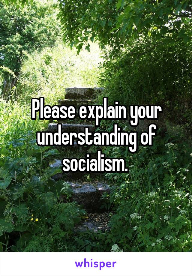 Please explain your understanding of socialism. 