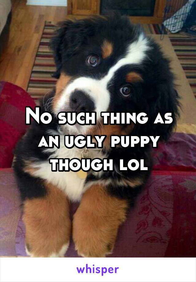 No such thing as an ugly puppy though lol