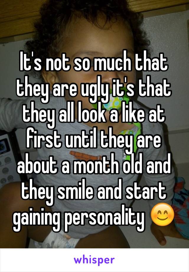 It's not so much that they are ugly it's that they all look a like at first until they are about a month old and they smile and start gaining personality 😊