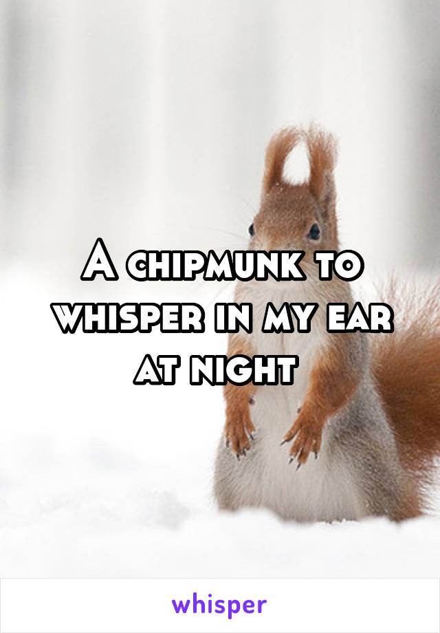 A chipmunk to whisper in my ear at night 