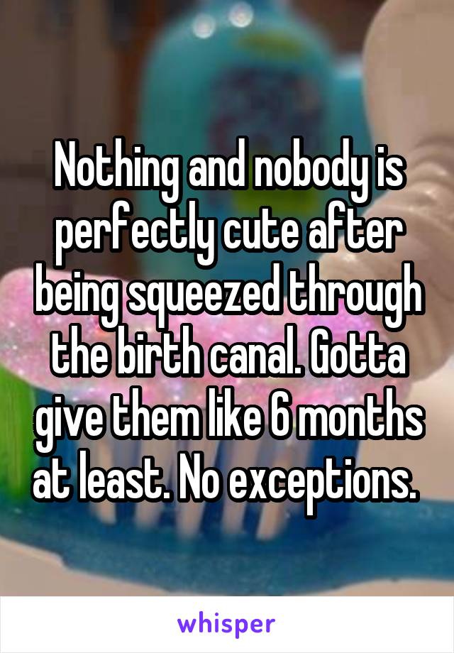 Nothing and nobody is perfectly cute after being squeezed through the birth canal. Gotta give them like 6 months at least. No exceptions. 