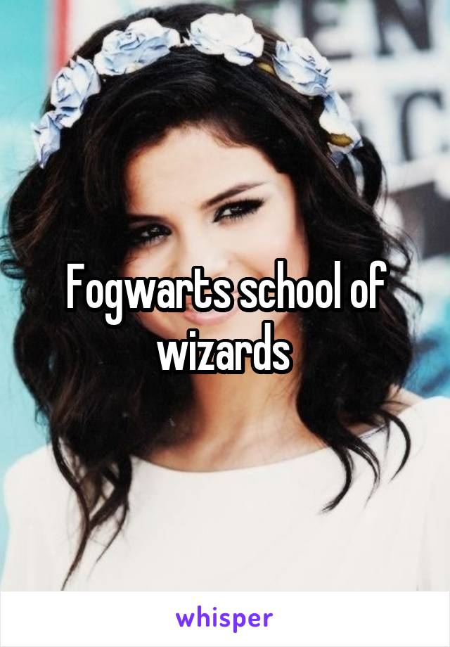 Fogwarts school of wizards 