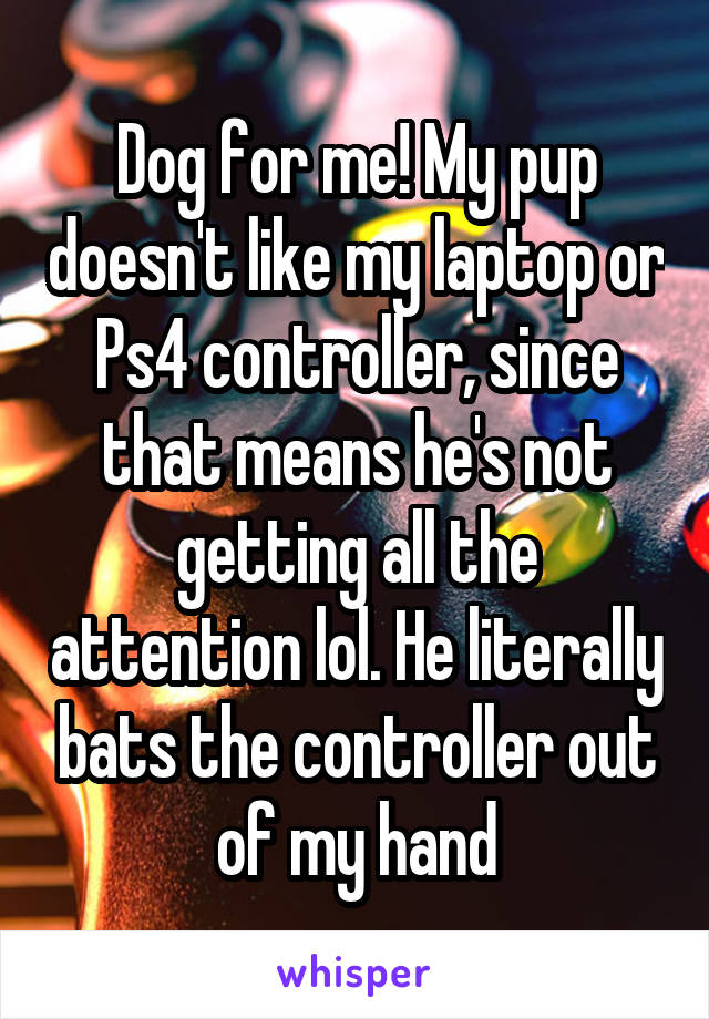 Dog for me! My pup doesn't like my laptop or Ps4 controller, since that means he's not getting all the attention lol. He literally bats the controller out of my hand