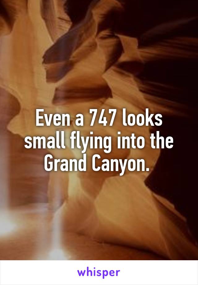 Even a 747 looks small flying into the Grand Canyon. 