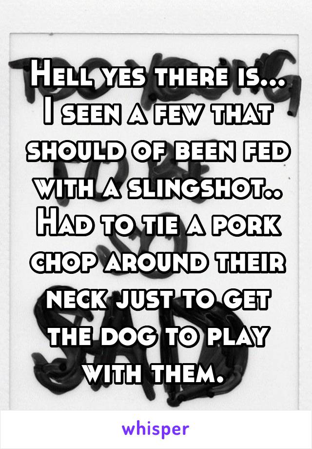 Hell yes there is... I seen a few that should of been fed with a slingshot.. Had to tie a pork chop around their neck just to get the dog to play with them. 