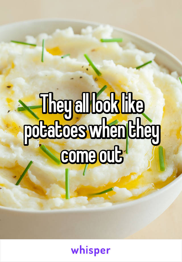 They all look like potatoes when they come out