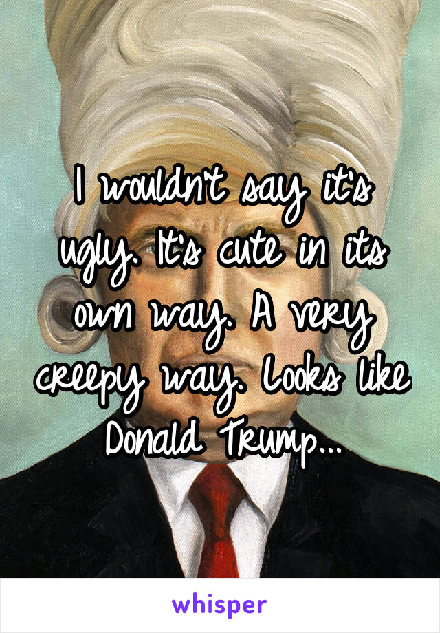 I wouldn't say it's ugly. It's cute in its own way. A very creepy way. Looks like Donald Trump...