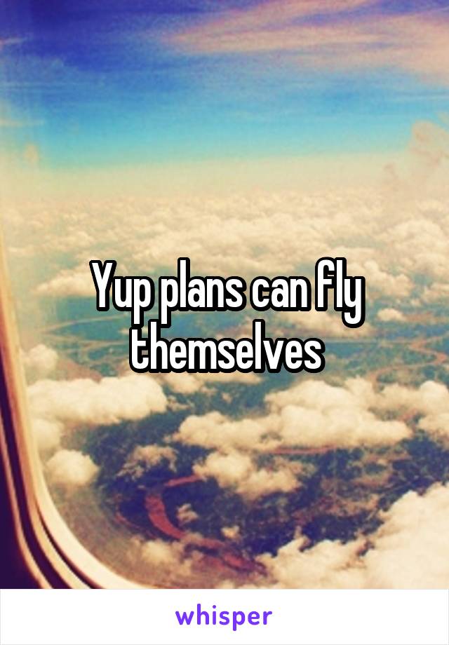 Yup plans can fly themselves