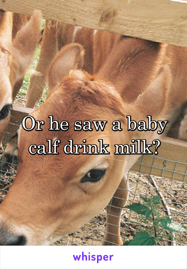 Or he saw a baby calf drink milk?
