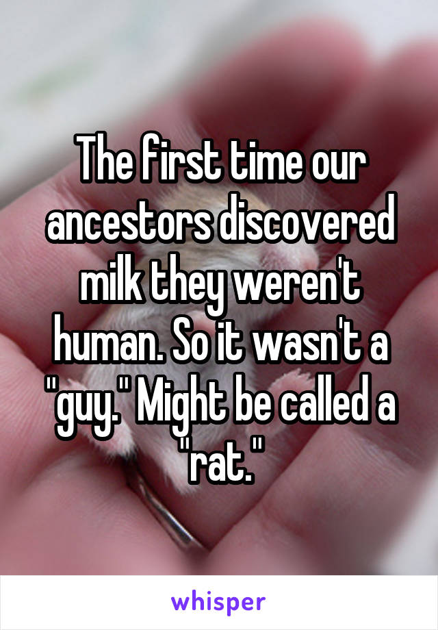 The first time our ancestors discovered milk they weren't human. So it wasn't a "guy." Might be called a "rat."