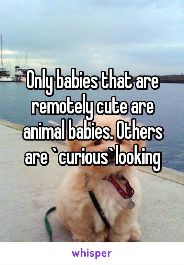 Only babies that are remotely cute are animal babies. Others are `curious`looking
