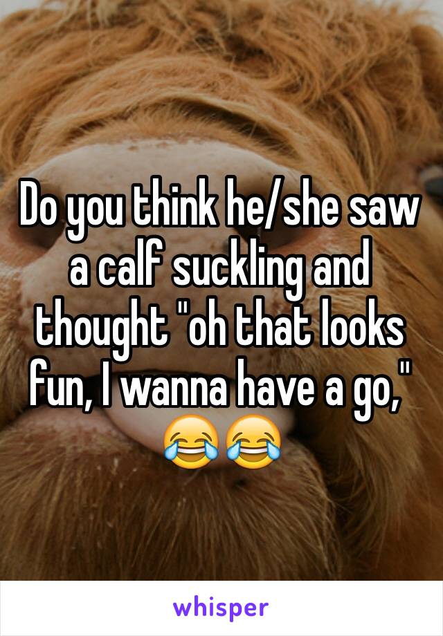 Do you think he/she saw a calf suckling and thought "oh that looks fun, I wanna have a go," 😂😂