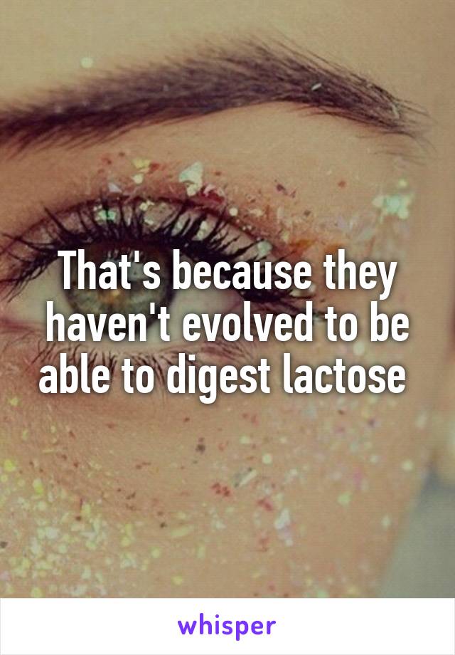 That's because they haven't evolved to be able to digest lactose 
