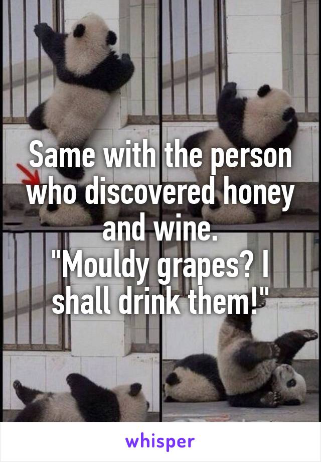 Same with the person who discovered honey and wine.
"Mouldy grapes? I shall drink them!"