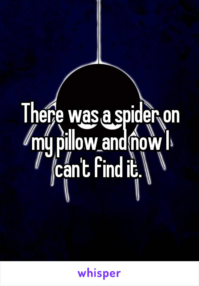 There was a spider on my pillow and now I can't find it. 