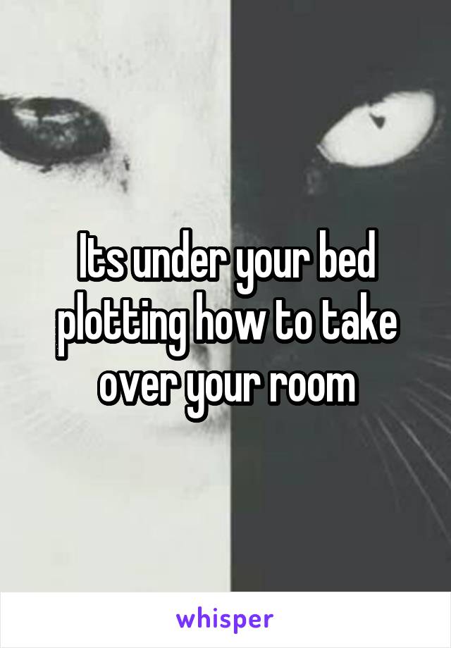 Its under your bed plotting how to take over your room