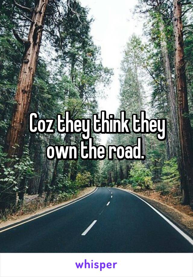 Coz they think they own the road. 