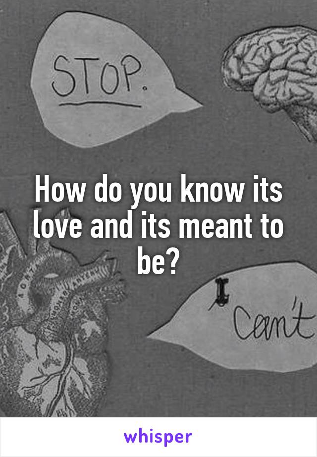 How do you know its love and its meant to be?