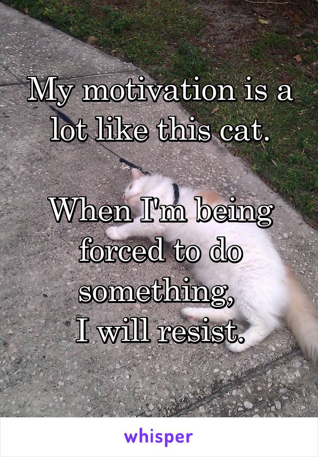 My motivation is a lot like this cat.

When I'm being forced to do something, 
I will resist.
