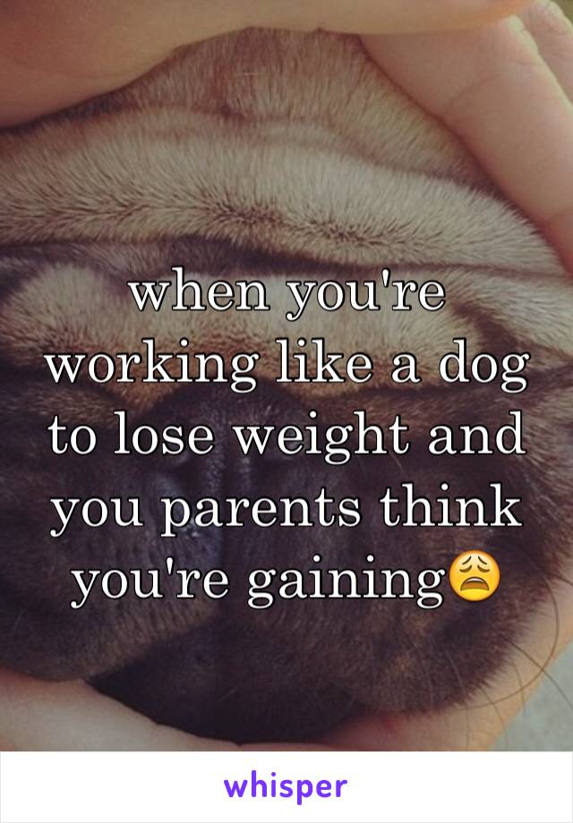 when you're working like a dog to lose weight and you parents think you're gaining😩