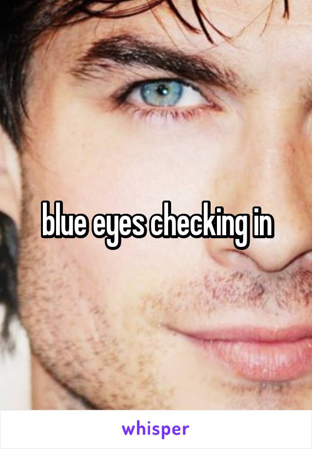 blue eyes checking in