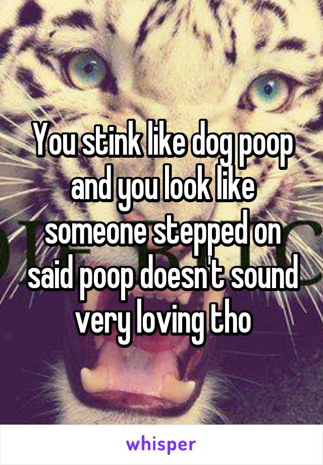 You stink like dog poop and you look like someone stepped on said poop doesn't sound very loving tho