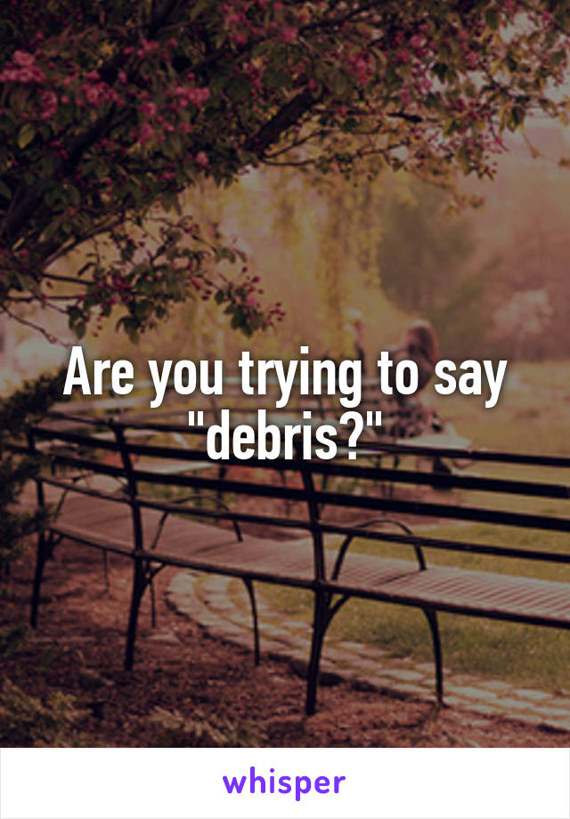 Are you trying to say "debris?"