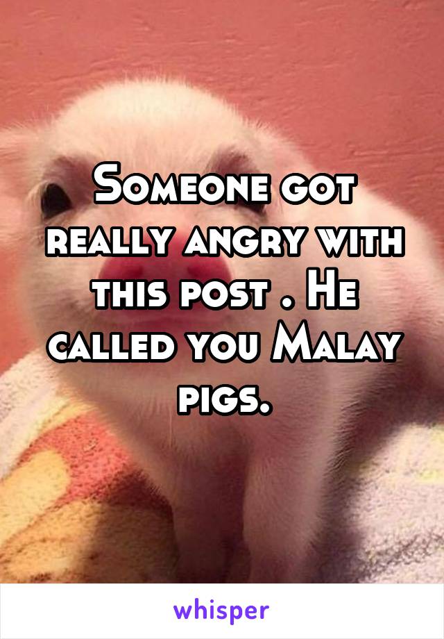Someone got really angry with this post . He called you Malay pigs.
