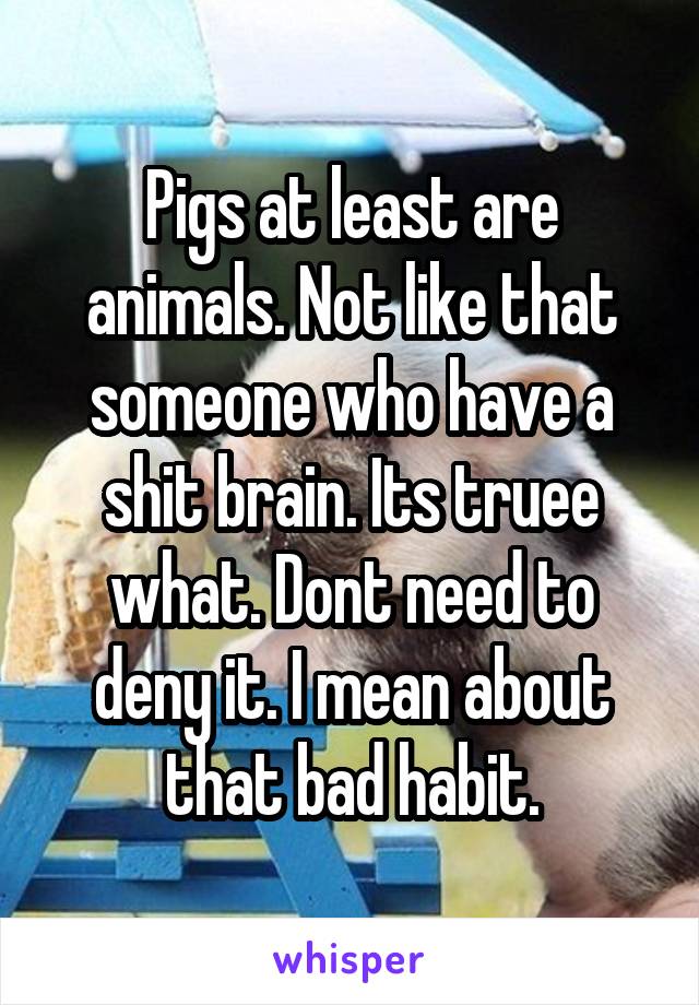 Pigs at least are animals. Not like that someone who have a shit brain. Its truee what. Dont need to deny it. I mean about that bad habit.