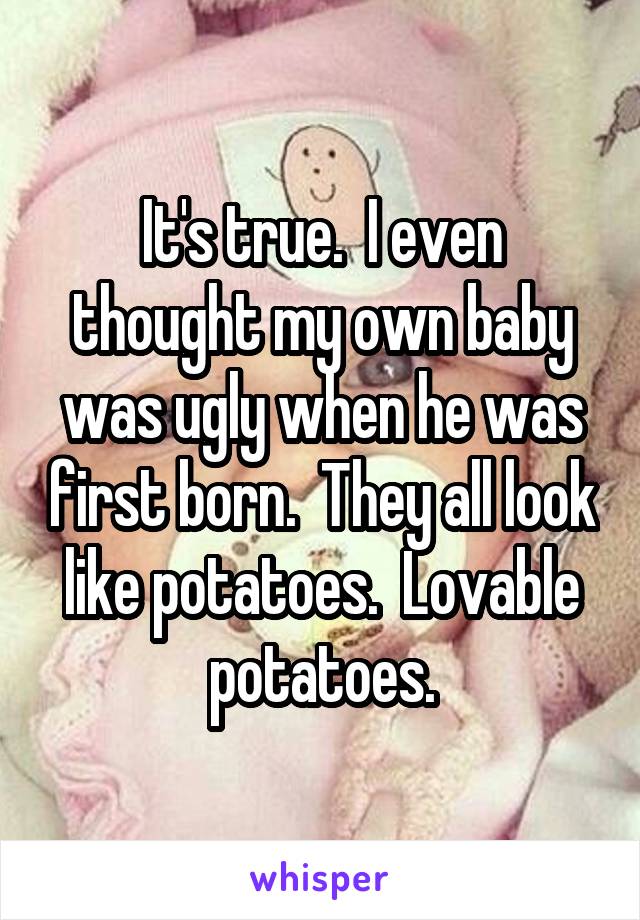 It's true.  I even thought my own baby was ugly when he was first born.  They all look like potatoes.  Lovable potatoes.