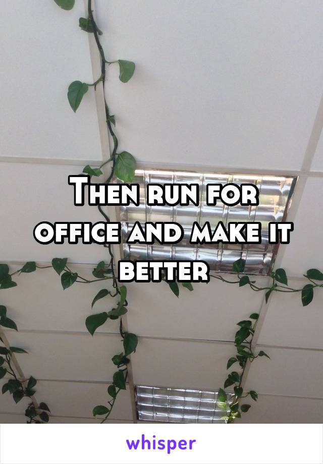 Then run for office and make it better