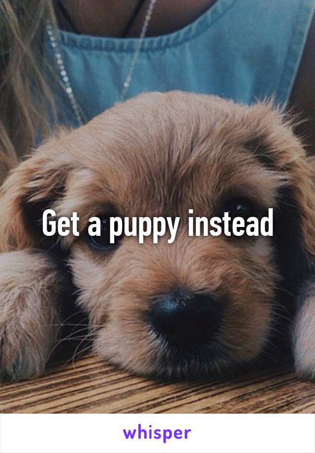 Get a puppy instead