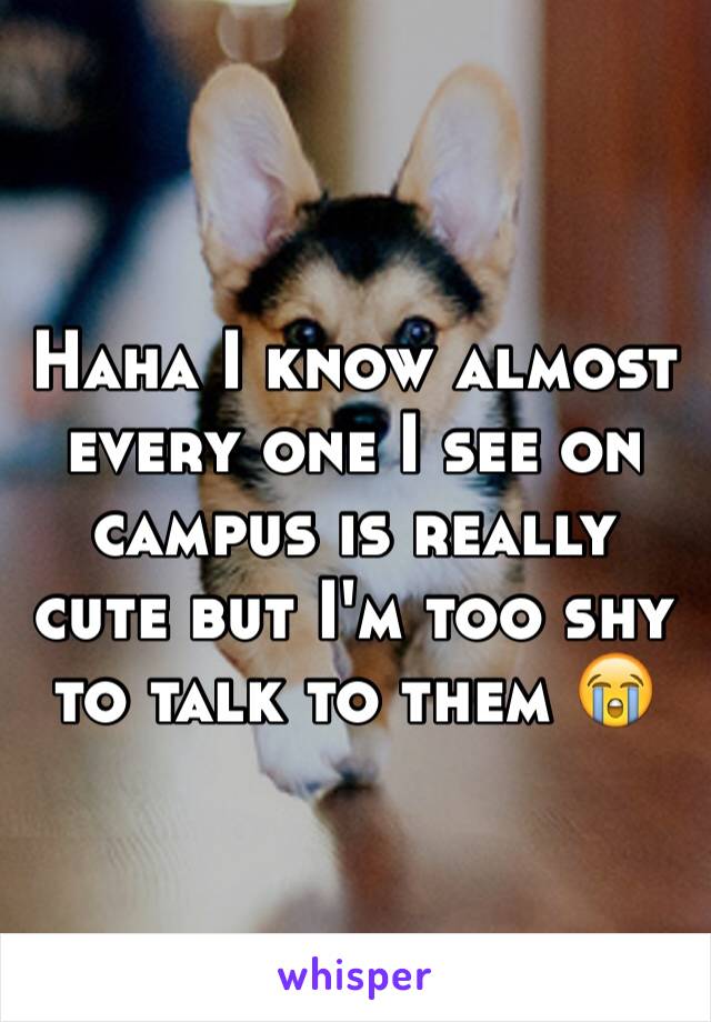 Haha I know almost every one I see on campus is really cute but I'm too shy to talk to them 😭