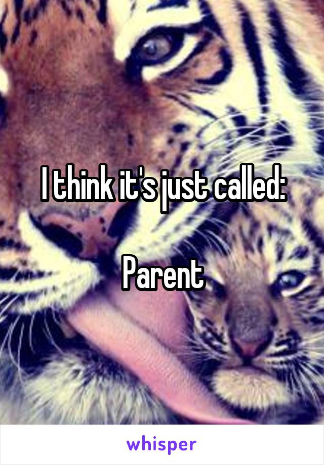 I think it's just called:

Parent