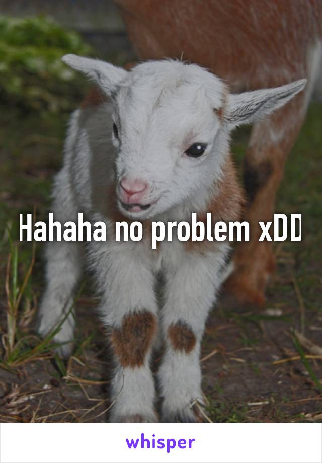 Hahaha no problem xDD