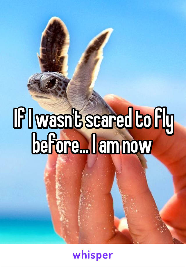 If I wasn't scared to fly before... I am now 