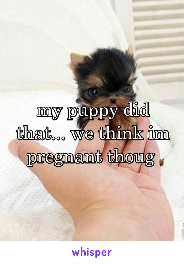 my puppy did that... we think im pregnant thoug 